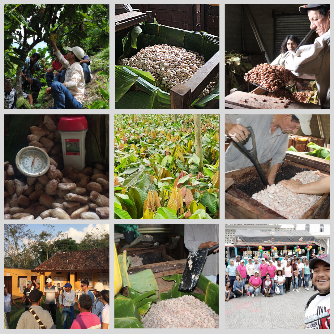 Manifiesto Cacao Co Fabricando chocolate y empoderando a los productores de cacao