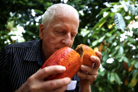 Nouveaux attributs, fermentations et sous-produits du cacao fin