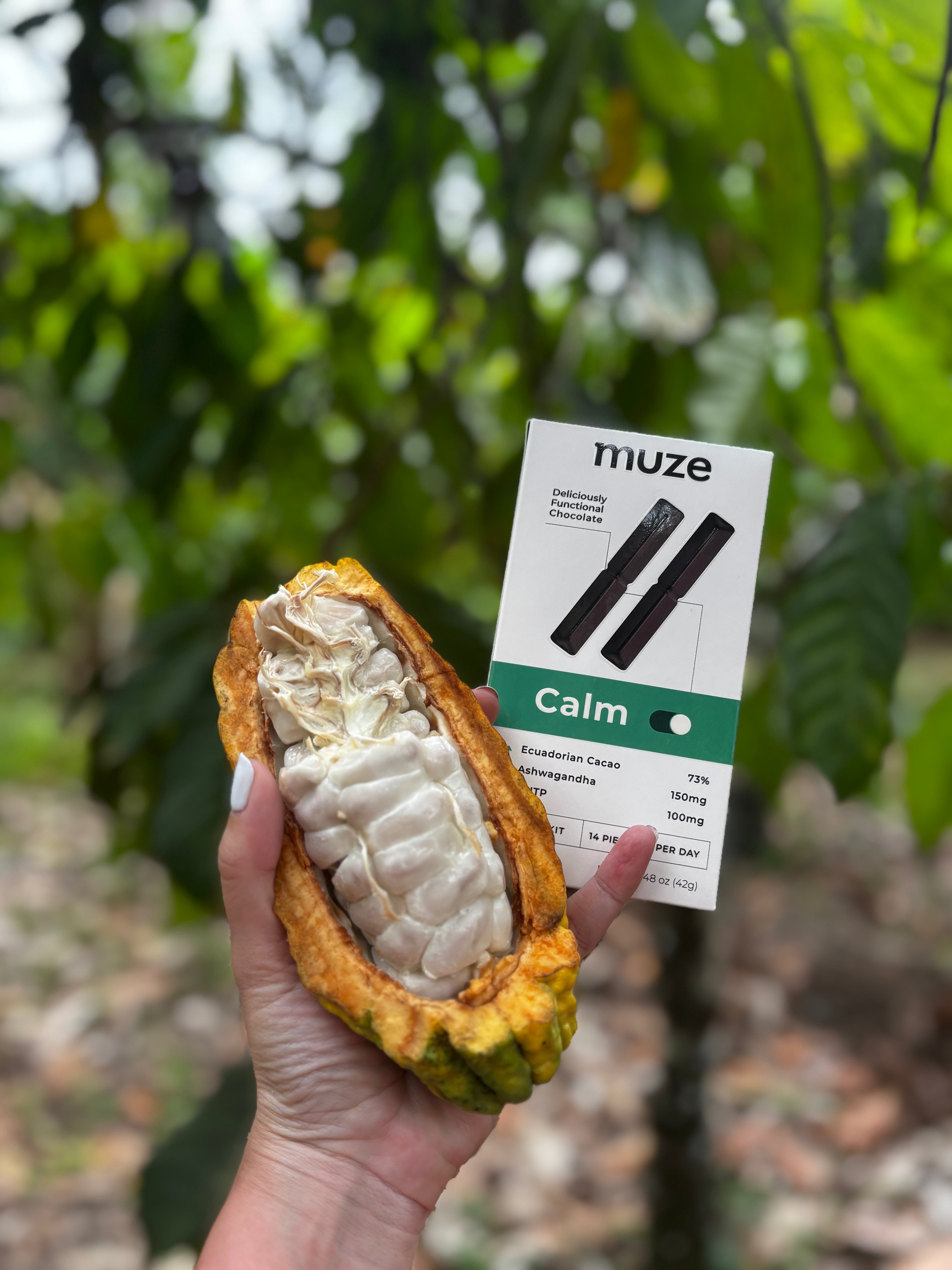 Muze: Delicious Chocolate, Origin, and Social Impact