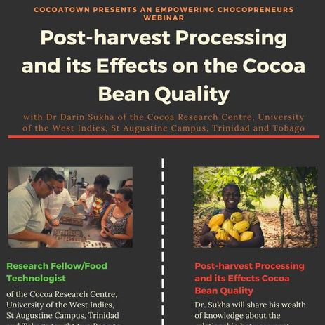 Post-harvest Processing & its Effects on Cocoa Bean Quality