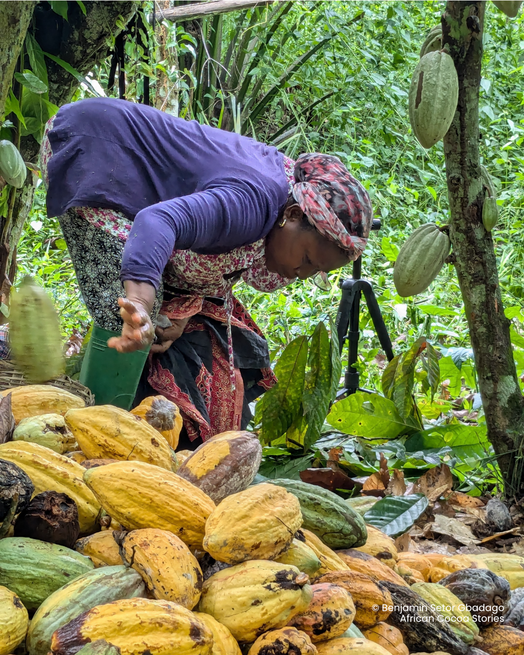 Bringing Cocoa to Life: Storytelling for Chocopreneurs