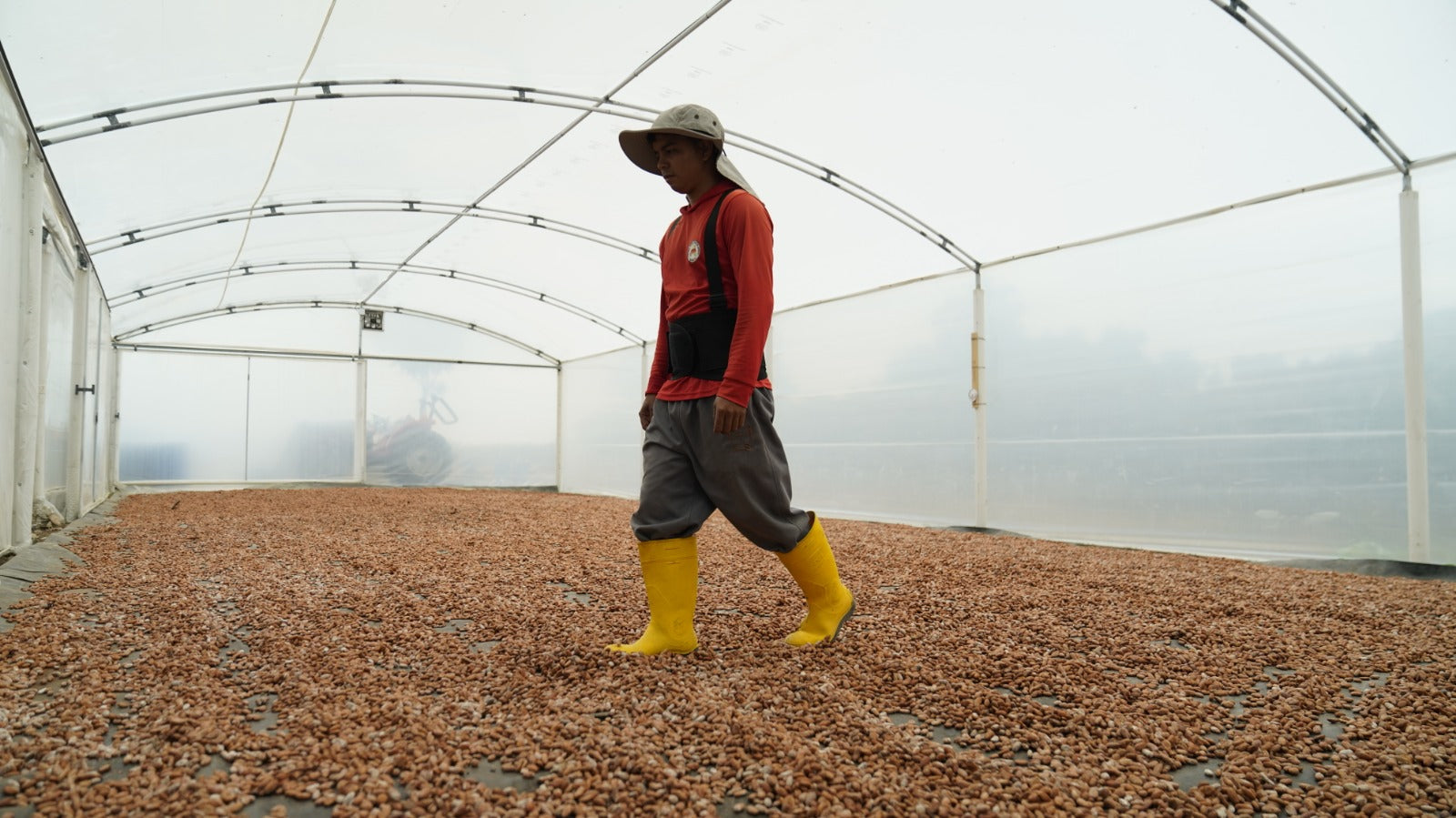 Upcycling Cacao for Profit