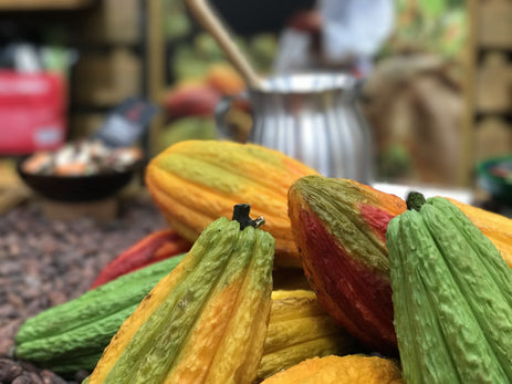 The Impact of Real Traceability on Cocoa Quality