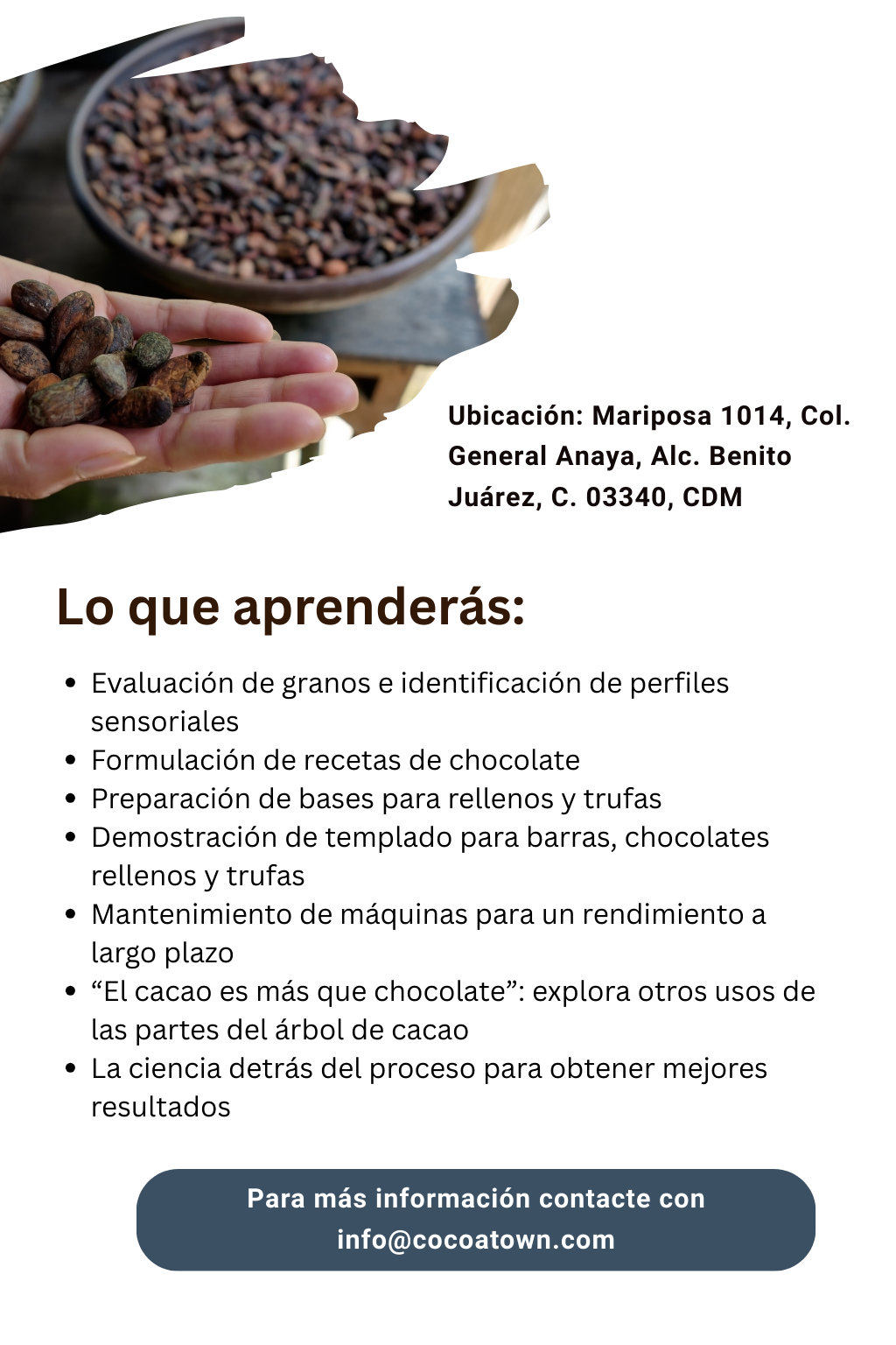 Taller Bean To Bar – Estados Unidos