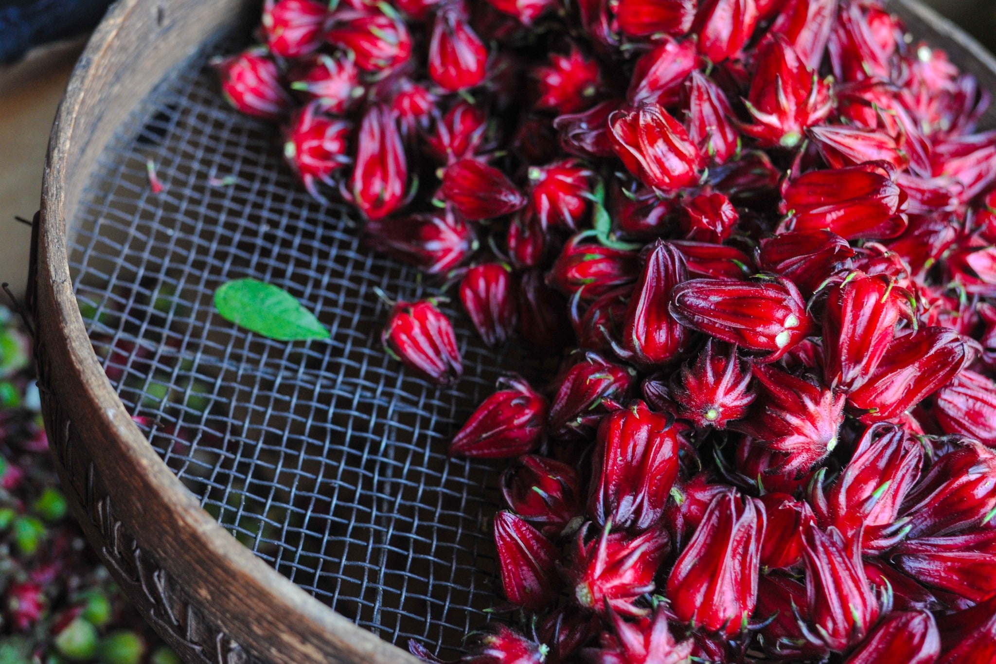 Pimenter votre ferme de cacao