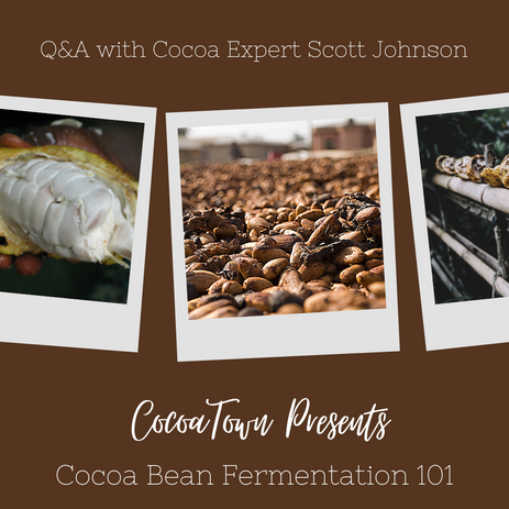 Preguntas y respuestas del seminario web 101 sobre fermentación de granos de cacao con el experto en cacao Scott Johnson