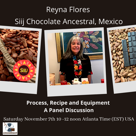Meet the Panelist Reyna Flores