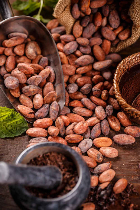 Conservez le chocolat au frais lors de son expédition dans des climats chauds – Questions et réponses