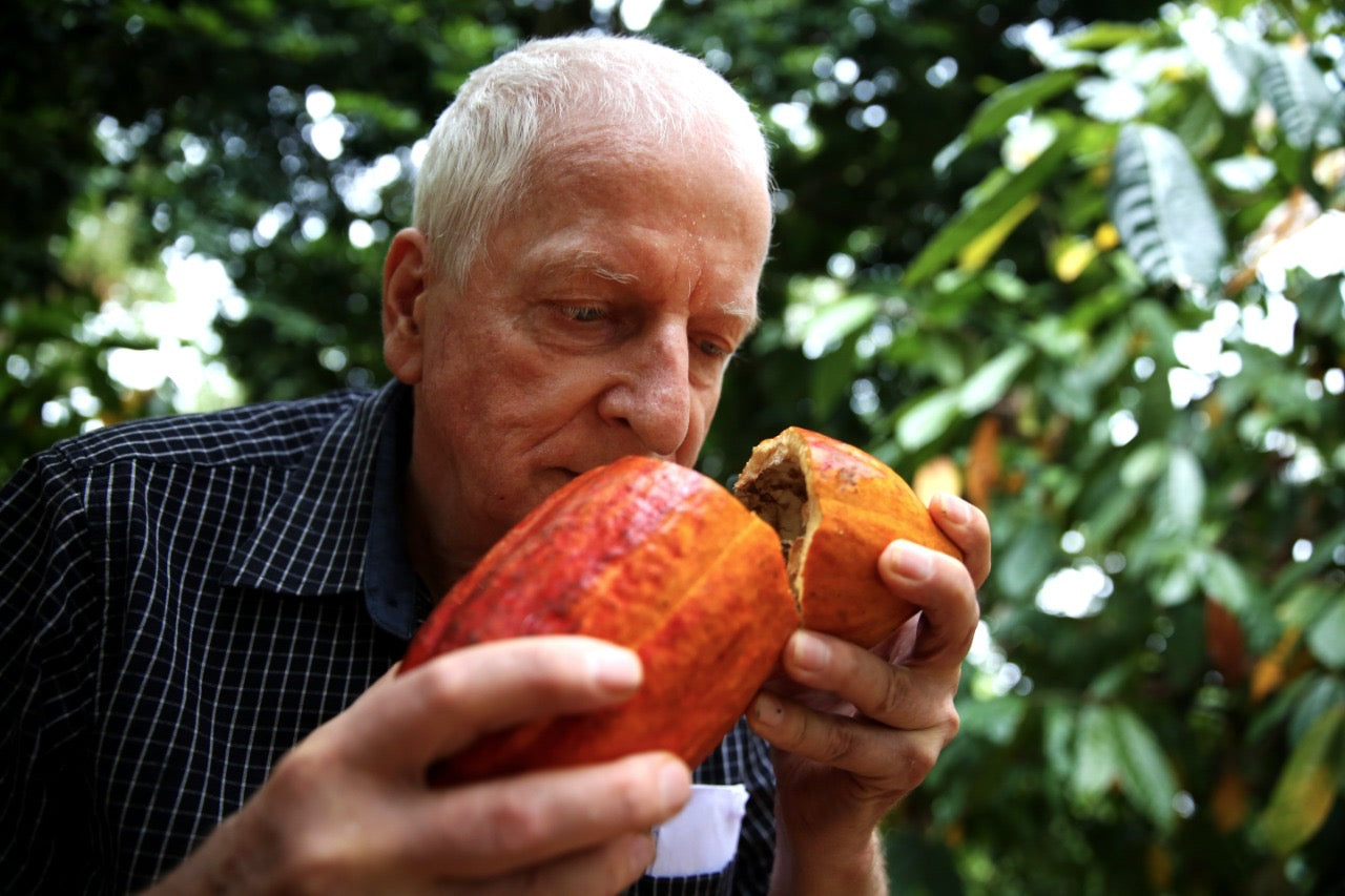 Nouveaux attributs, fermentations et sous-produits du cacao fin