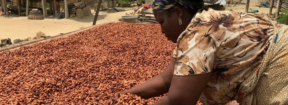 Spaces for innovation along the cocoa supply chain in West Africa by Dr. Kristy Leissle