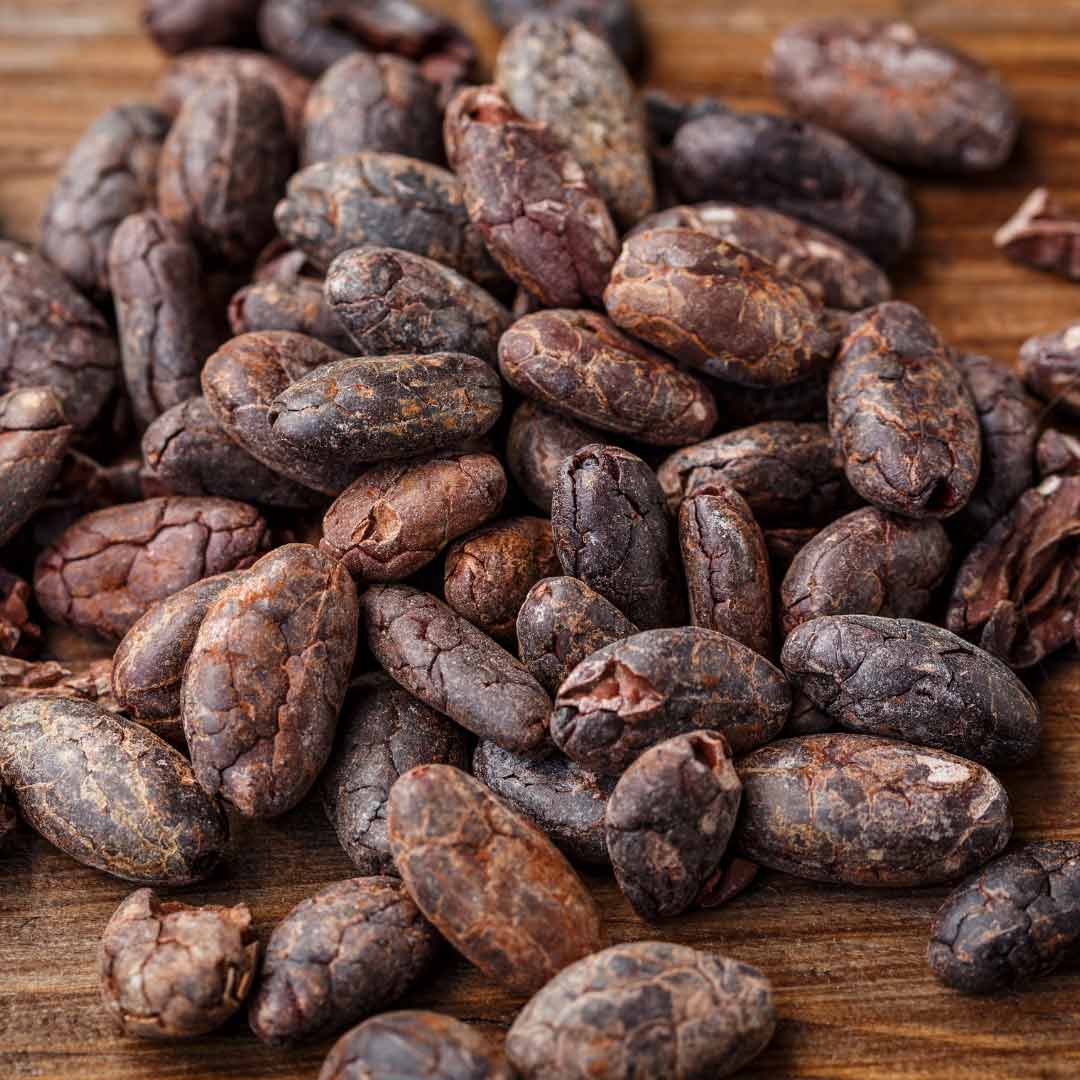 Roasted Cocoa Beans