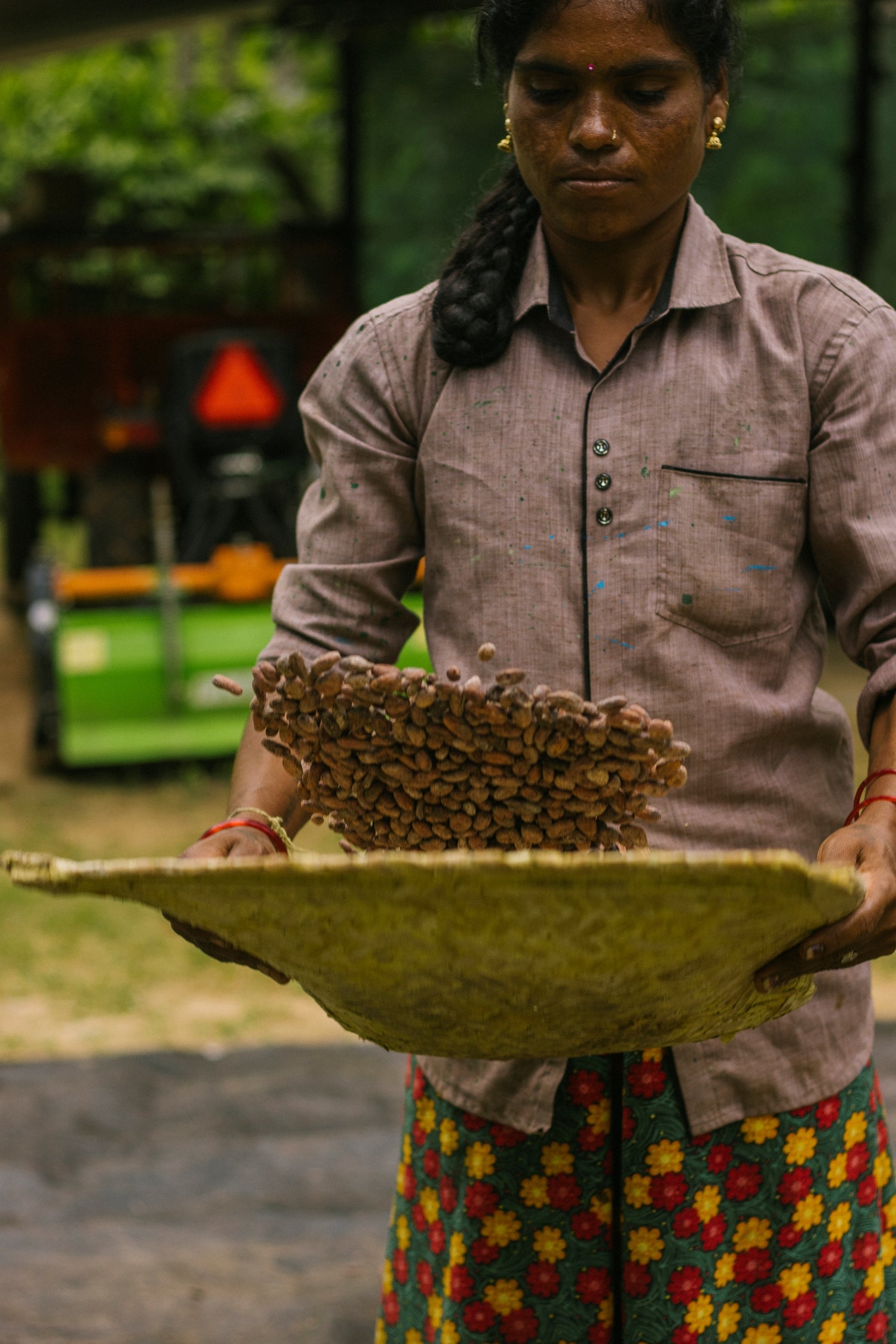 Exploring India's Craft Chocolate Industry