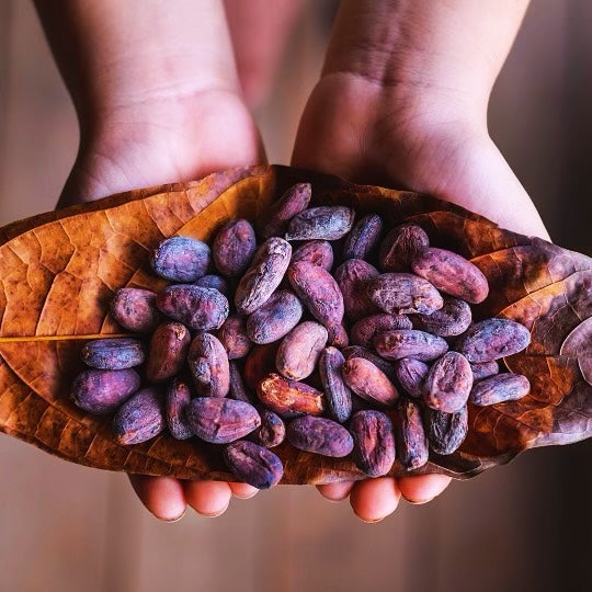 Ceremonial Cacao: Growing & Making in Sacred Ways